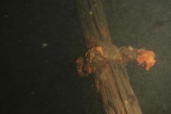 10cm zum Objekt nullsicht.jpg